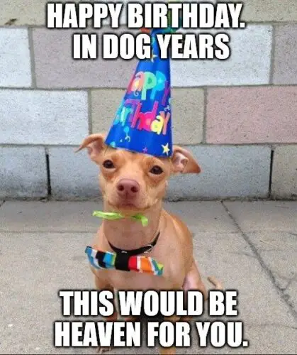 250 Funny Birthday Wishes that Will Surely Make Them Smile