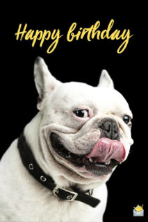 Funny Happy Birthday Images | A Smile for Their Special Day