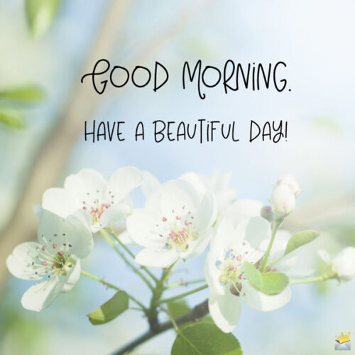 Good Morning Friend Flower / 149 Good Morning Friends Images To Show ...