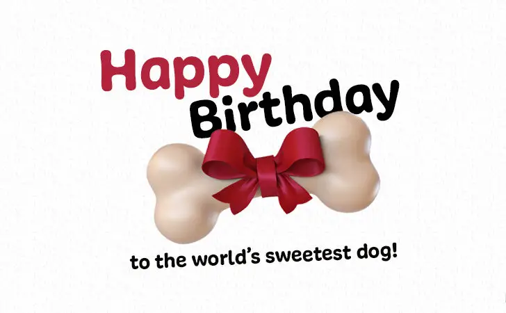 Happy Birthday to Woof | Birthday Wishes for Dogs