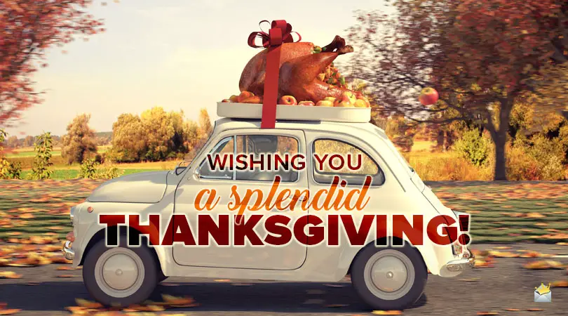 70+ Happy Thanksgiving Wishes | The Festive Day of Gratitude