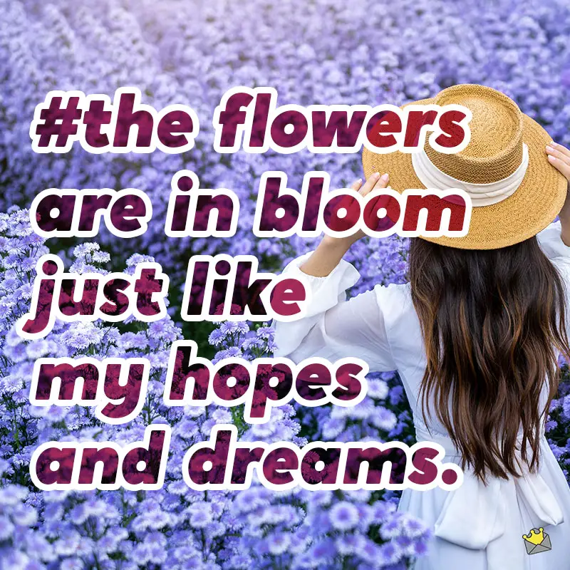 52 Beautiful Flower Captions For Pics Admiring Their Beauty